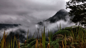 Affiche du séminaire "Mettre en récit son environnement : expression d’un savoir-être écologique et élaboration d’un sentiment communautaire dans la région de Pahuatlán del Valle, dans la Sierra Norte de Puebla, au Mexique"
