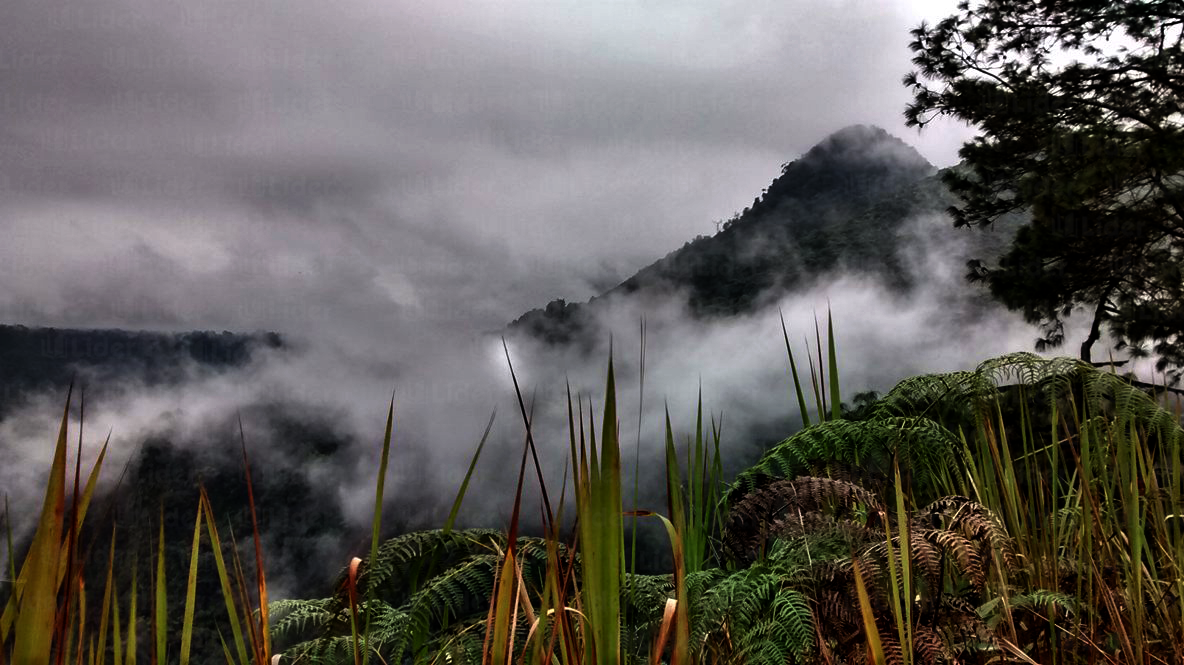 Affiche du séminaire "Mettre en récit son environnement : expression d’un savoir-être écologique et élaboration d’un sentiment communautaire dans la région de Pahuatlán del Valle, dans la Sierra Norte de Puebla, au Mexique"